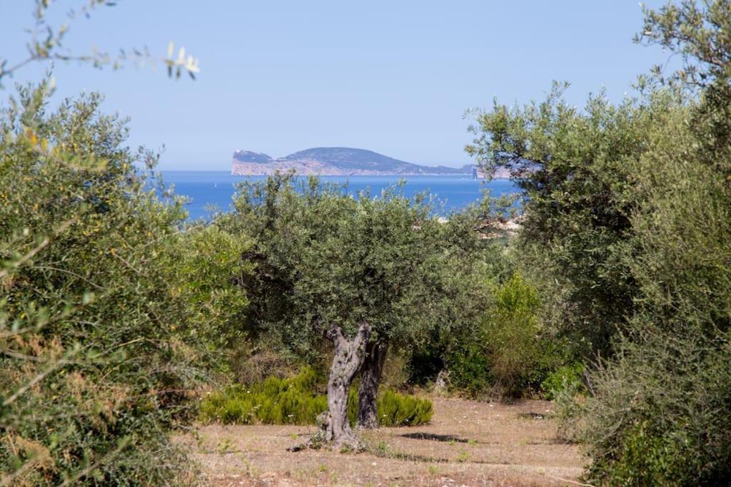 Villa Tramonto Alghero Exterior foto